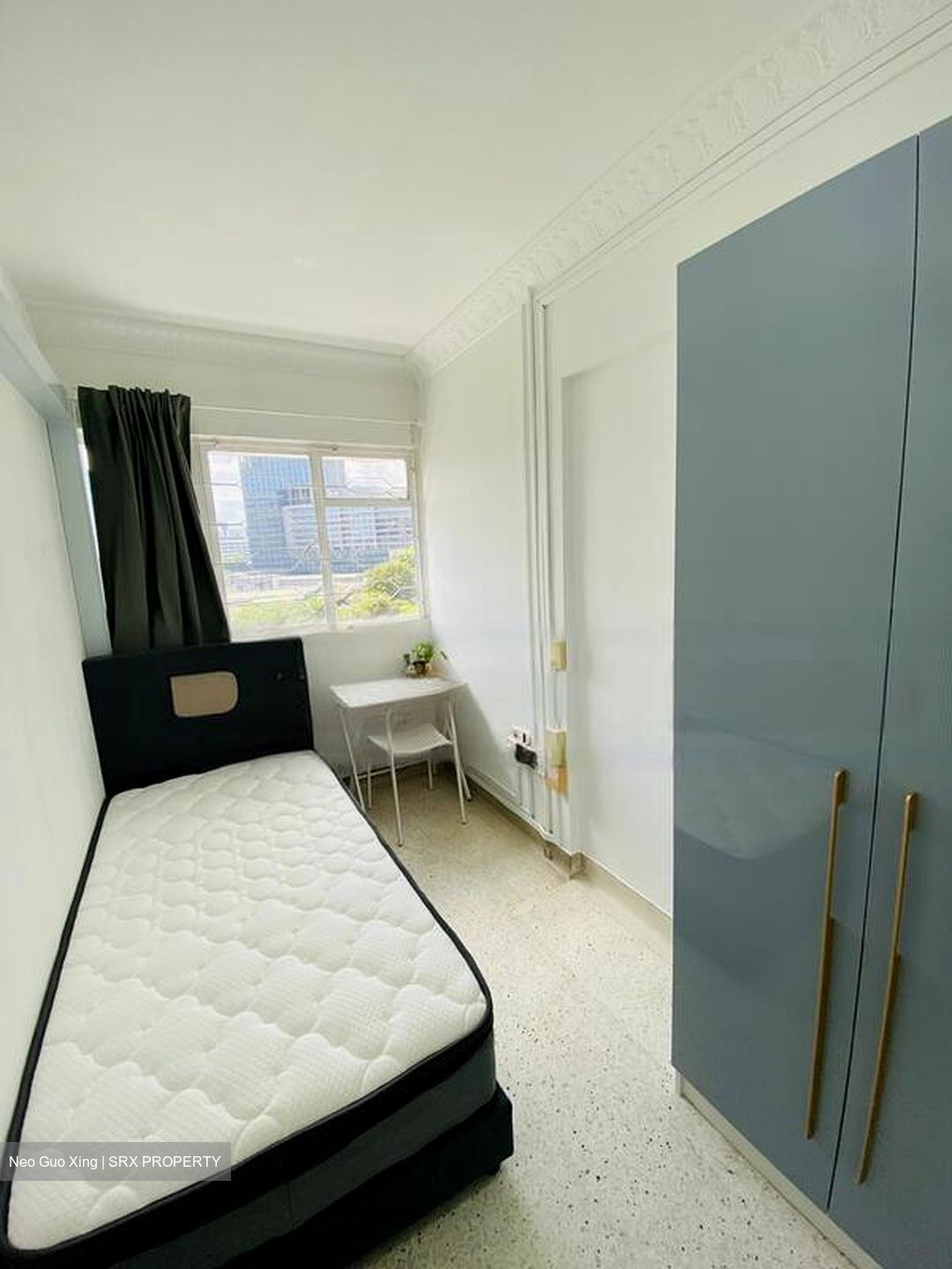 Spottiswoode Park (D2), Apartment #459053851